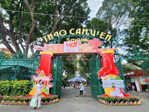 Tết Dương lịch 2026, đi đâu chơi gì ở TP.HCM?