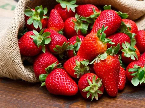 Gợi ý những thực phẩm nên ăn để làn da sáng mịn, khỏe đẹp từ bên trong